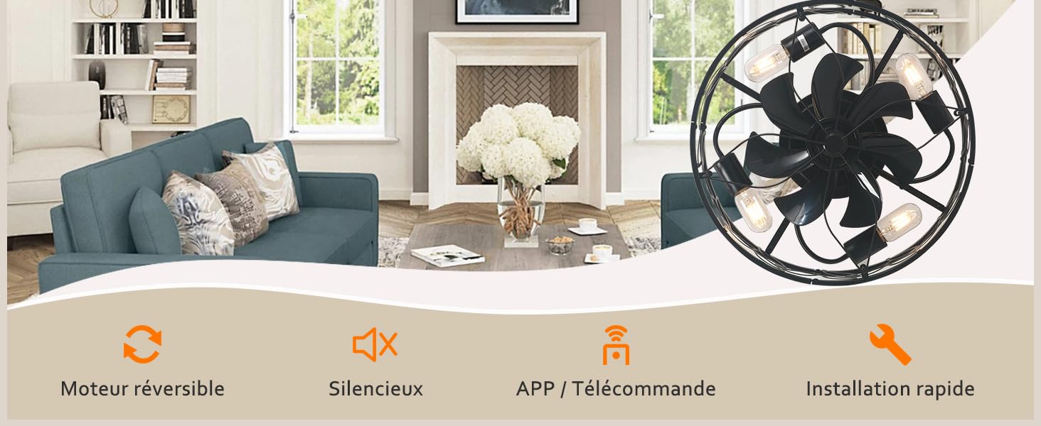 plafonnier ventilateur de plafond