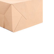 Sacs en papier kraft