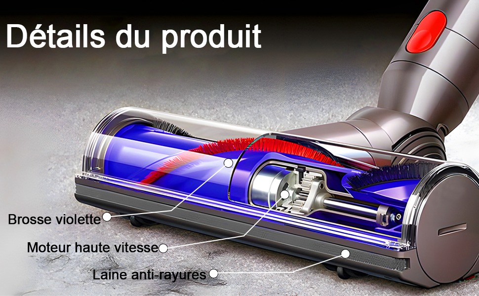 Brosse pour D-yson2