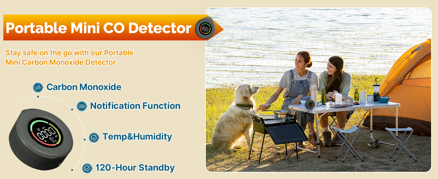 PORTABLE CO DETECTOR