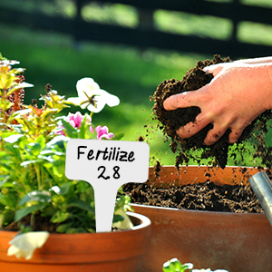 Etiquette Potager de type T