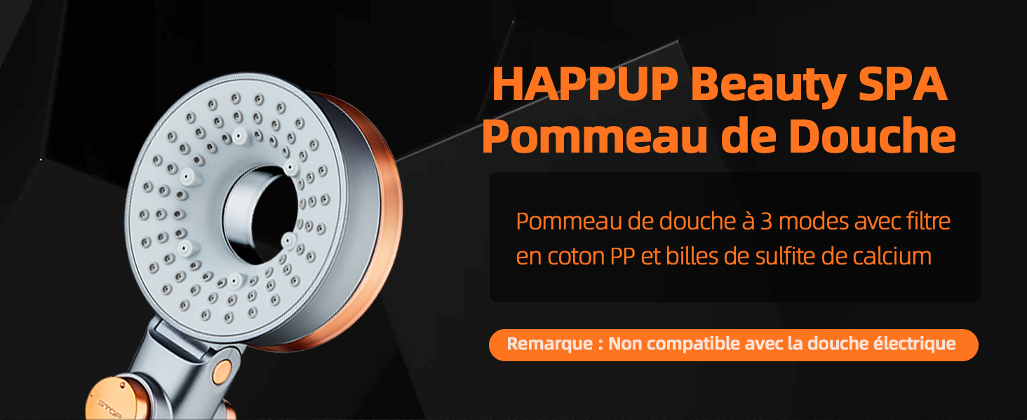 Pommeau de douche