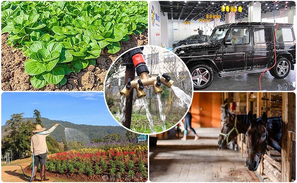 un collage de différents types d'agriculture
