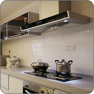 ampoules hotte de cuisine 40w 230v