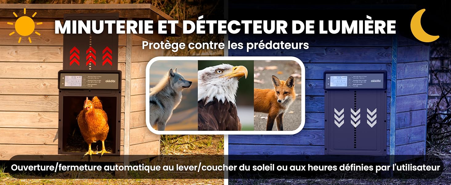 Porte Automatique Poulailler Solaire