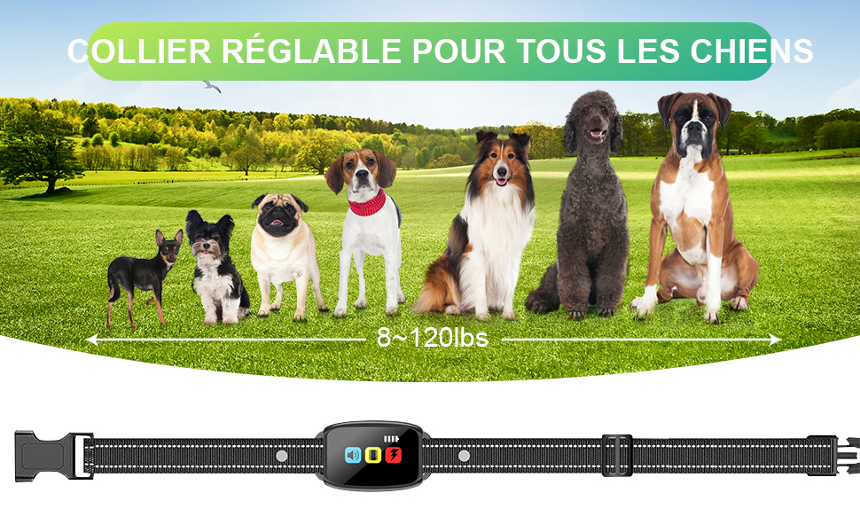 Collier électronique ajustable pour chien avec affichage numérique, présenté avec une plage de tailles de 5 à 120 livres. Présenté avec différentes races de chiens sur fond de pelouse verte