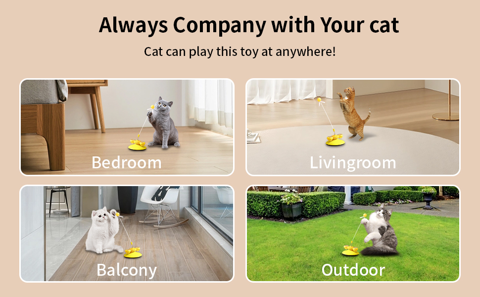 Jouets interactifs pour chats d'intérieur