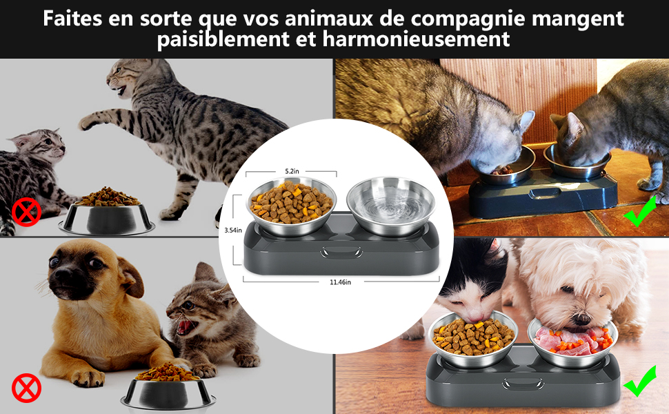 PET-BOWL-FR