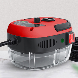 Nettoyeur vapeur portable