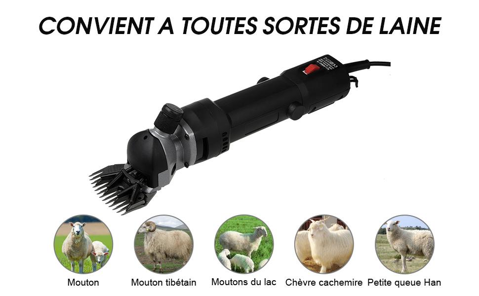 tondeuse