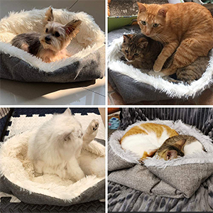 Pet mat