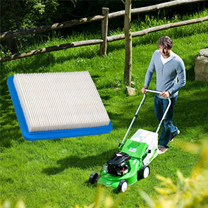 filtre a air briggs et stratton