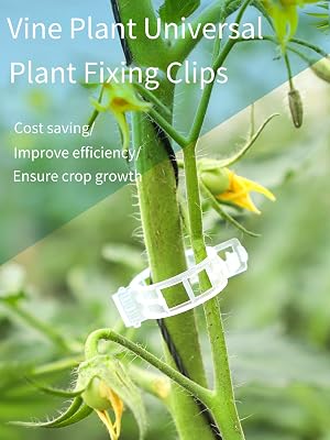 tomato clips