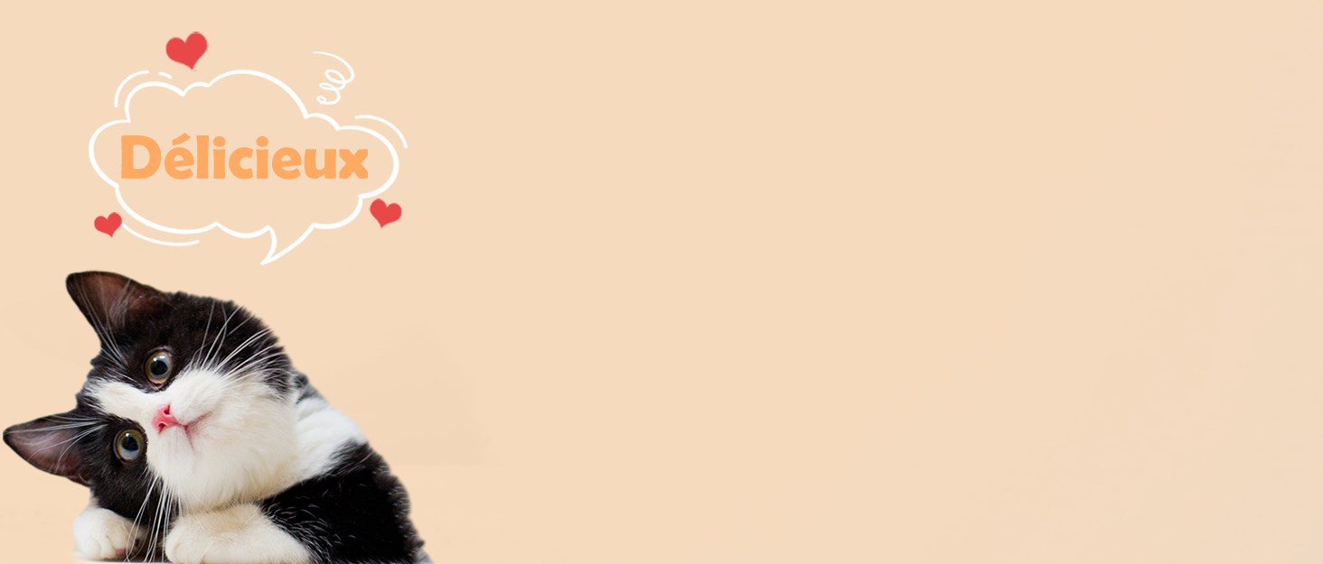 distributeur croquettes chat automatique， distributeur croquettes chat