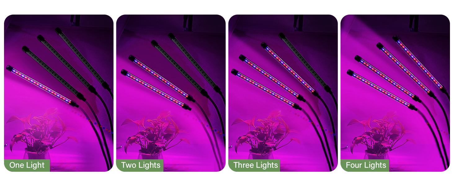 Lampe Plante