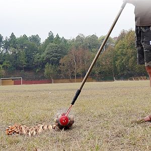 Sequence of outdoor images showing someone using a long pole or tool to interact with items on grassy ground.