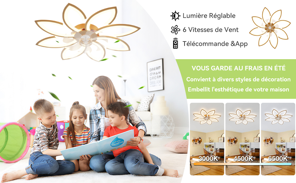 lustre ventilateur de plafond silencieux