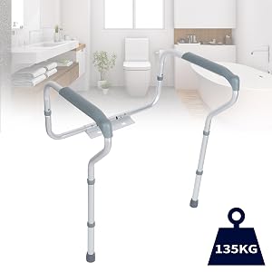 Toilet support
