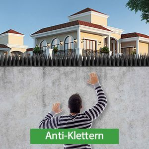 Pics anti-pigeons