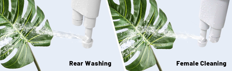 fixation bidet