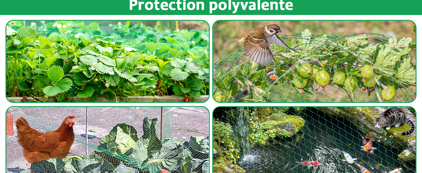 Le texte se lit comme suit : « Protection polyvalente ». Série d'images agricoles montrant des plantes et de la végétation dans différentes conditions de croissance avec des mesures de protection.
