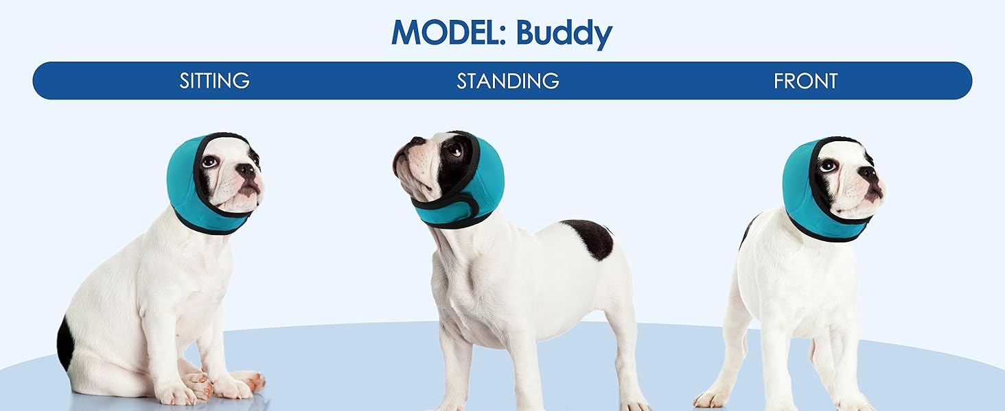 noise reduction for dogs