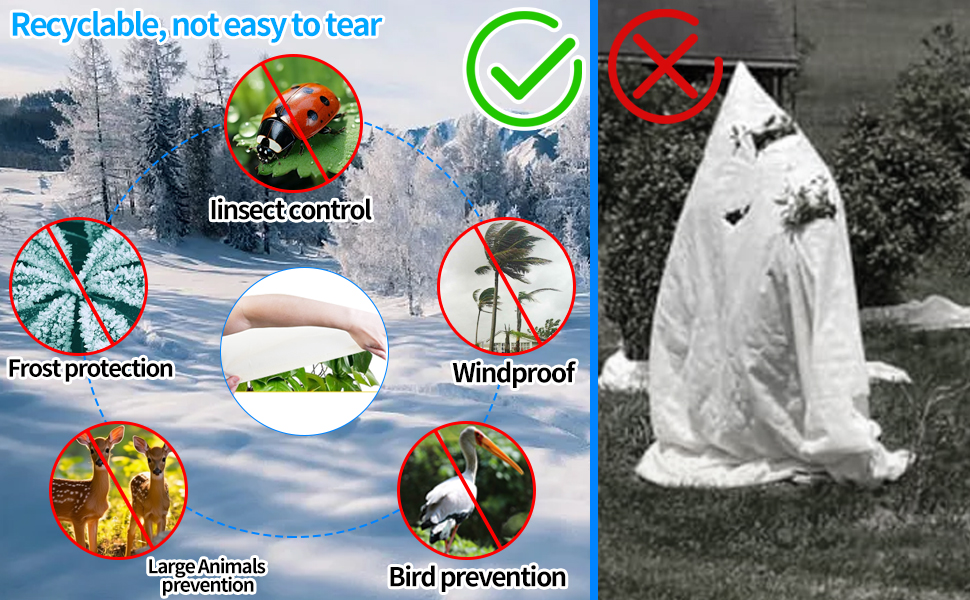 Voile Hivernage