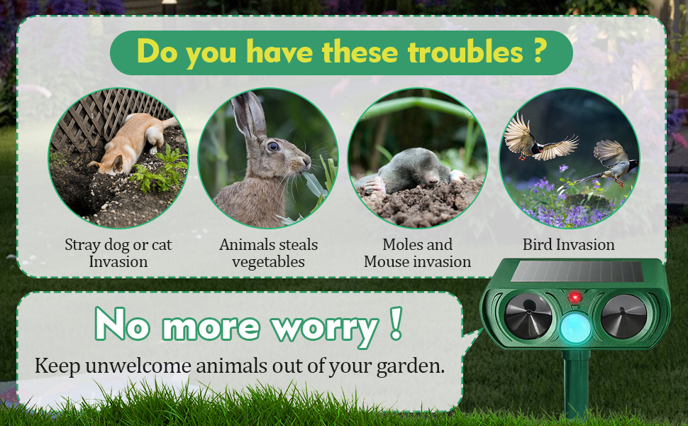 Répulsif chat jardin répulsif pour animaux domestiques