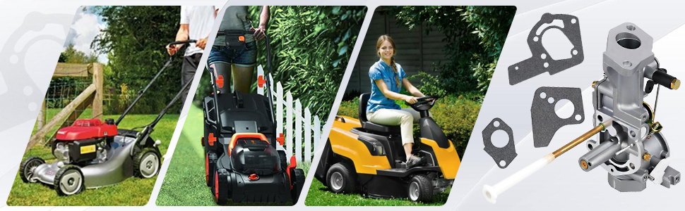carburateur briggs stratton