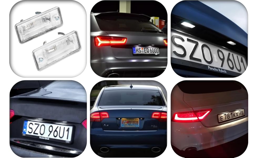 License Plate Light