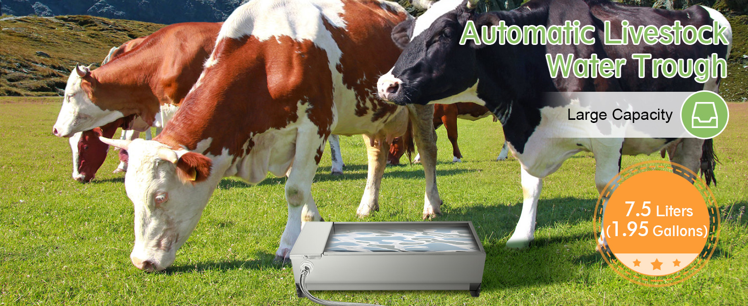  Cattle Drinking Bowl