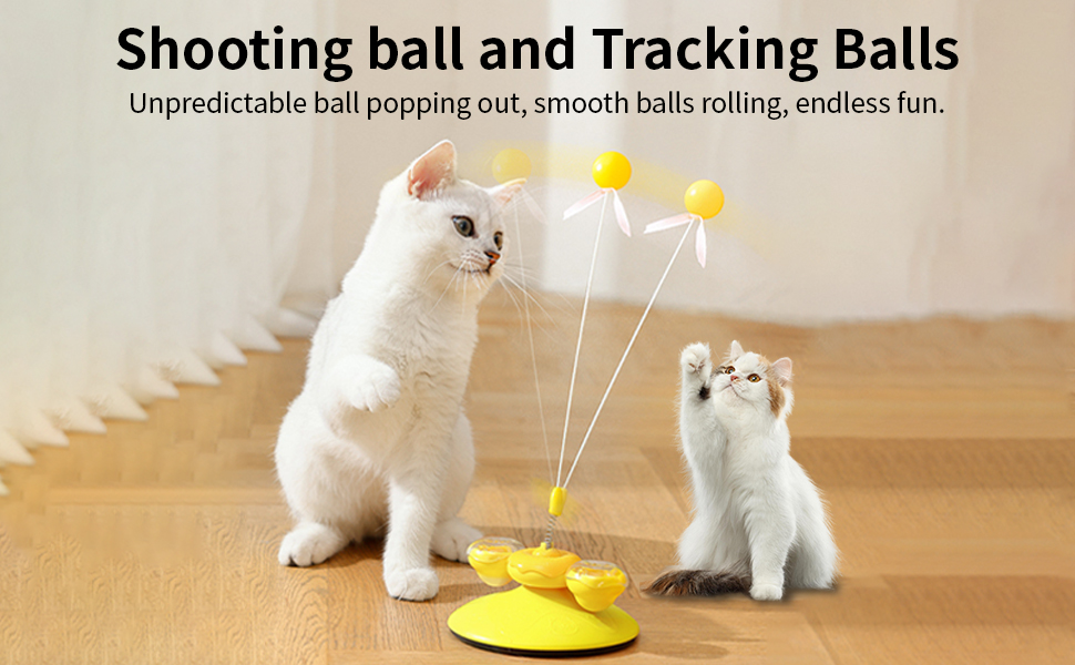 Jouets interactifs pour chats