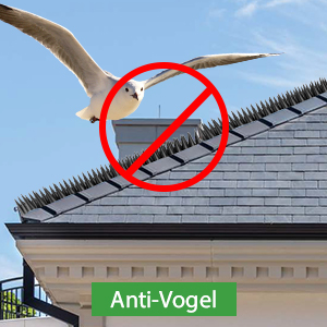 Pics anti-pigeons