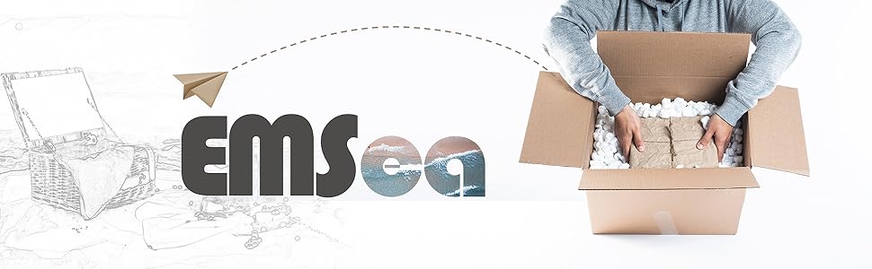 Composite image with 'EMSEA' text, paper airplane illustration, cardboard box outline, and hands packing items into an open box filled with packing material.