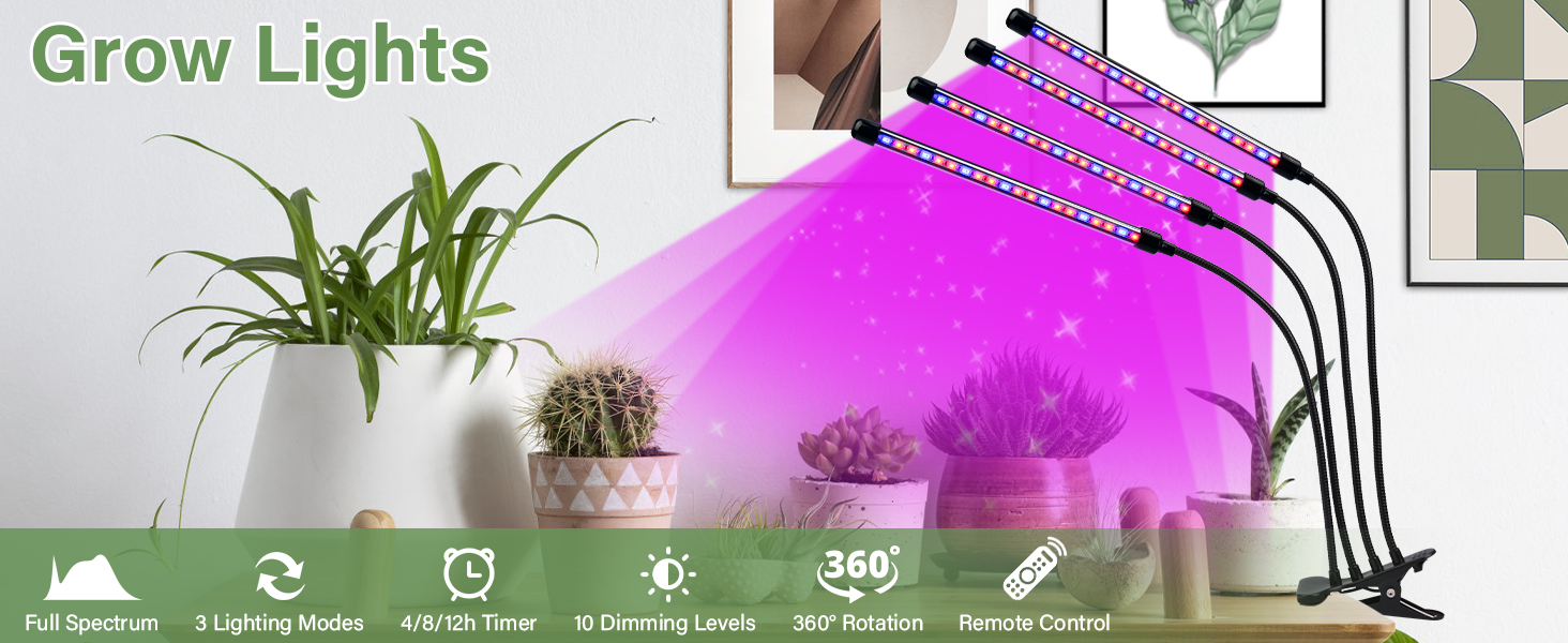 Lampe de Plante