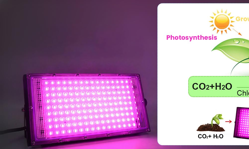 200w LED Full Spectrum Grow Light, lampe de croissance pour plantes d'intérieur