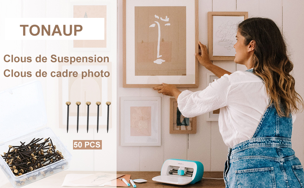 50 PCS Clous de Suspension