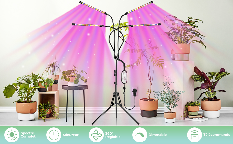 Lampe LED Plante