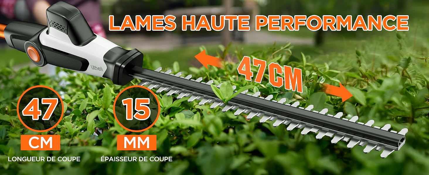 les meilleurs outils de jardinage pour débutants