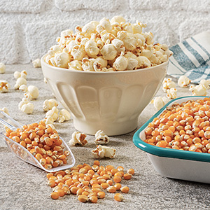 Machine à pop - corn
