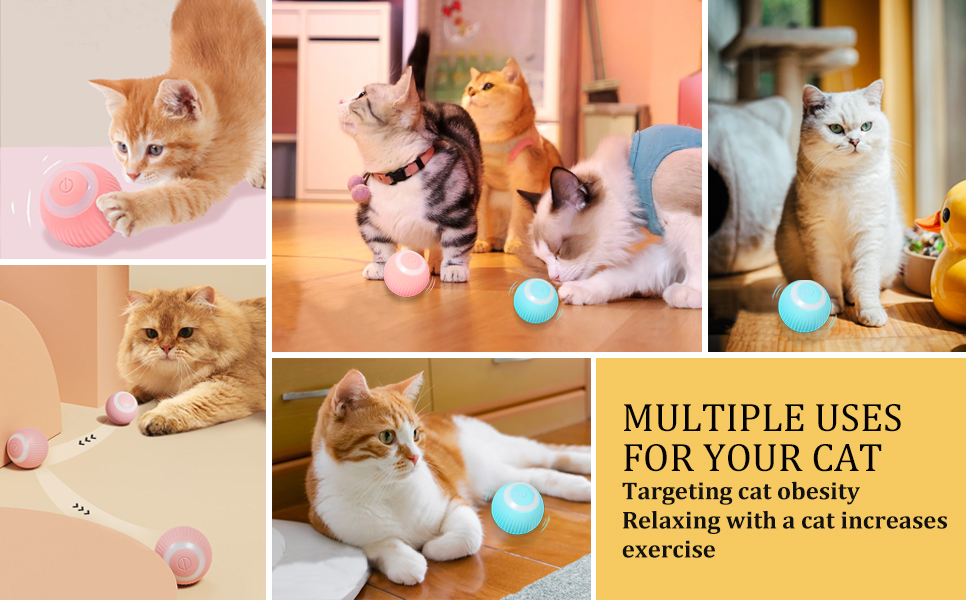 Balle de Jeux Interactive pour Chat