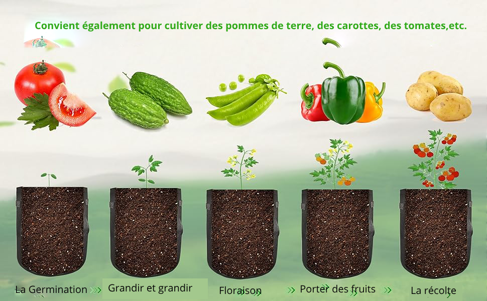 Cultiver des légumes, mais aussi des fleurs. ‌