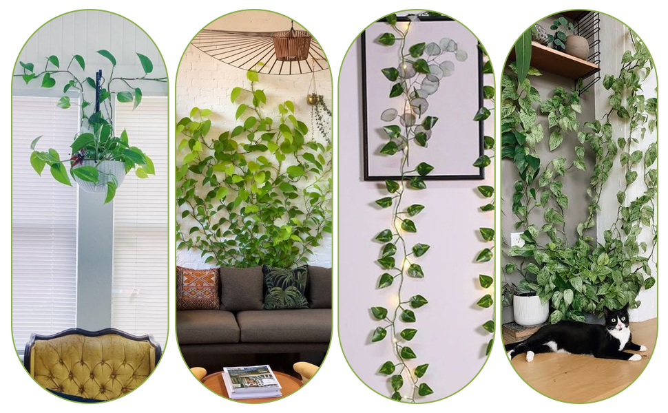 vine wall clips