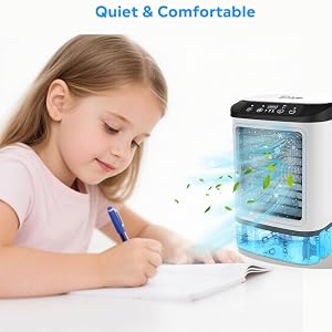 climatiseurs individuels