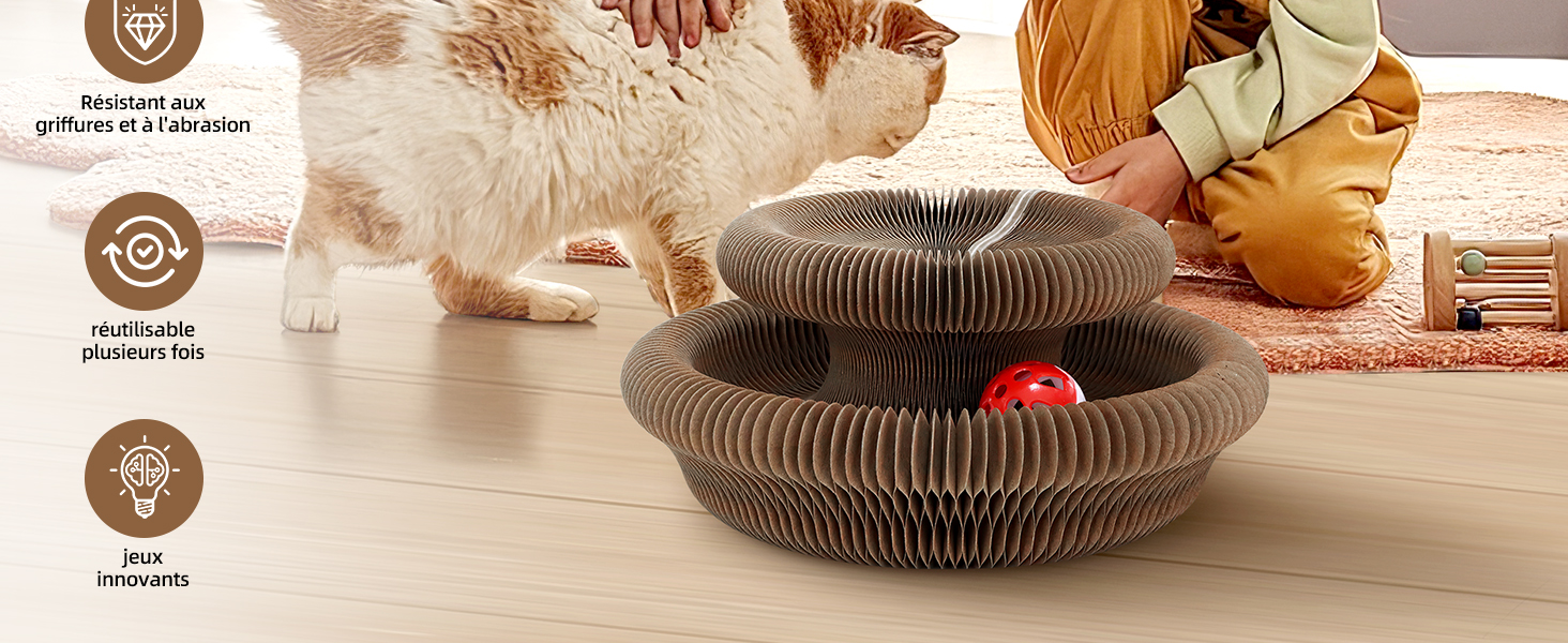 Griffoir pour Chat Carton avec Balle