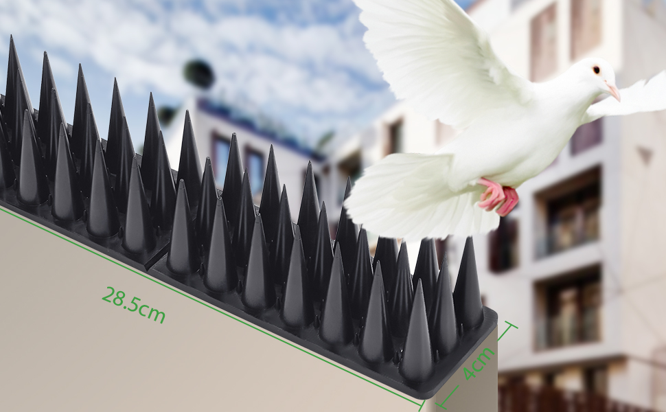 Pics anti-pigeons