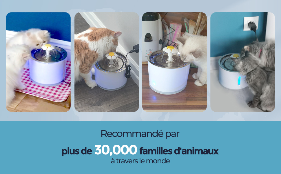 FAMILLES