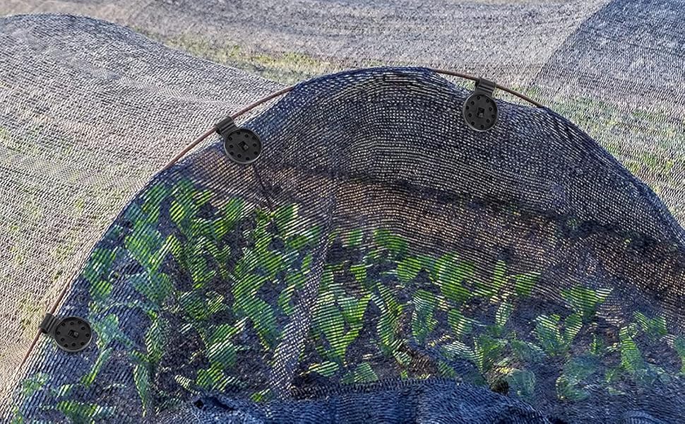 cache vue jardin probache brise vue