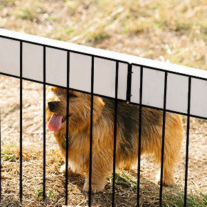 garden fence
