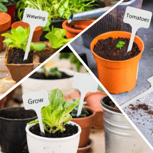 Etiquetage Réutilisable-Contenants et Accessoires Pour Plantes